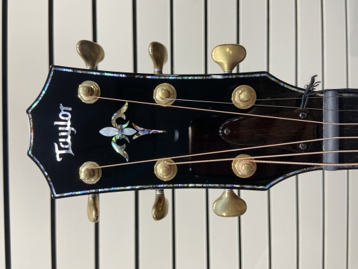 Taylor Guitars - PS14CE H RW 5